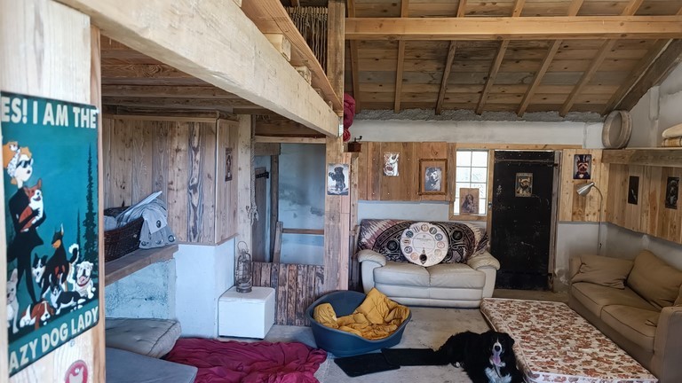 Les locaux des chiens